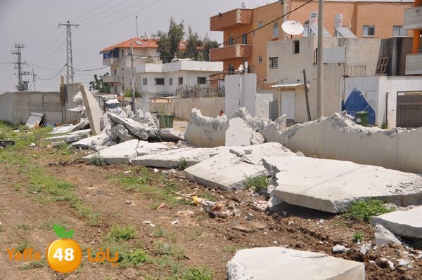 wallludshaneer509 (17).JPG